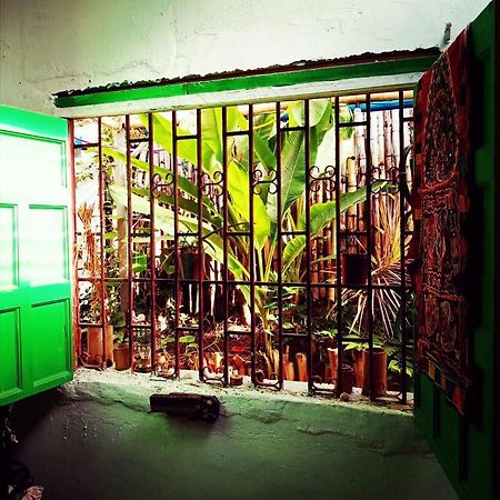 Meanwhile In Veracruz Dış mekan fotoğraf