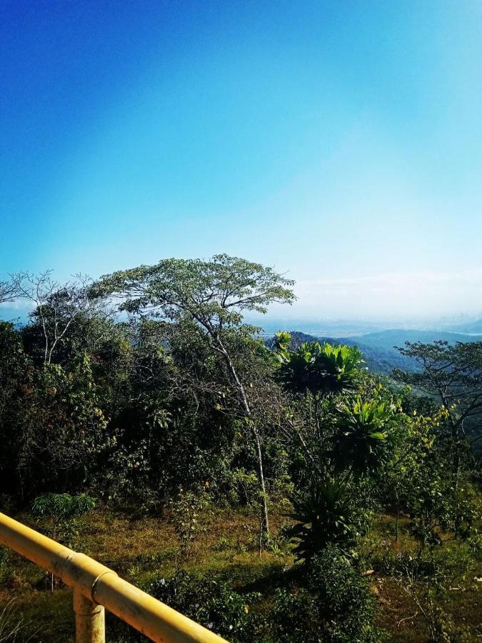 Meanwhile In Veracruz Dış mekan fotoğraf