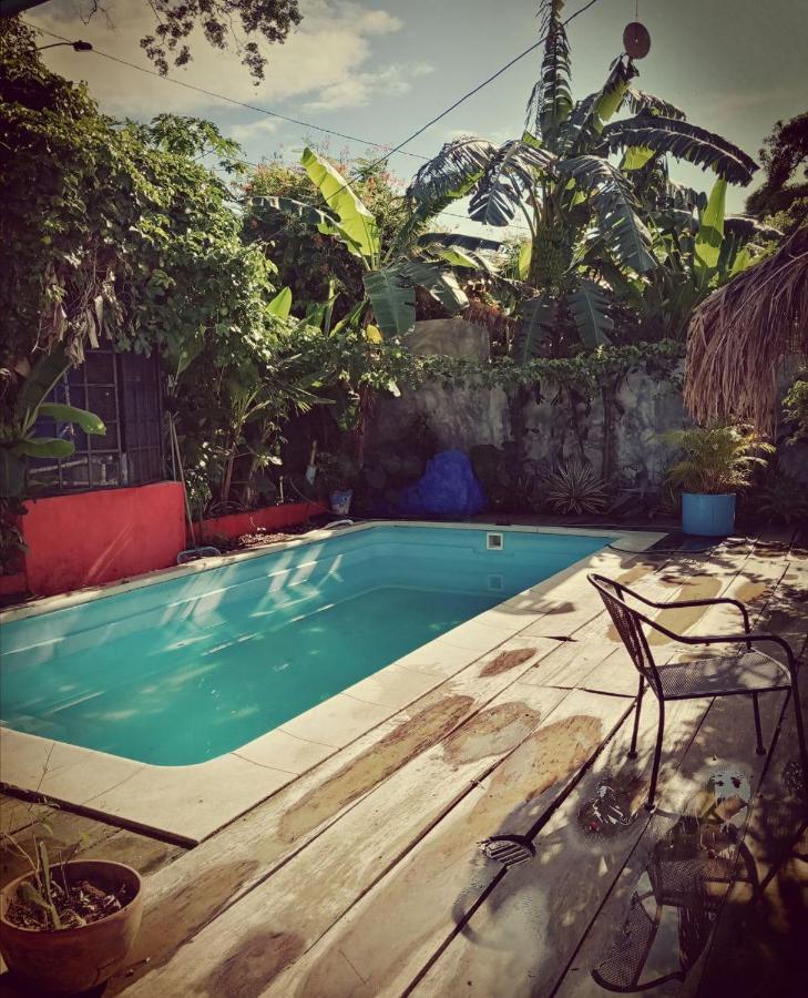 Meanwhile In Veracruz Dış mekan fotoğraf