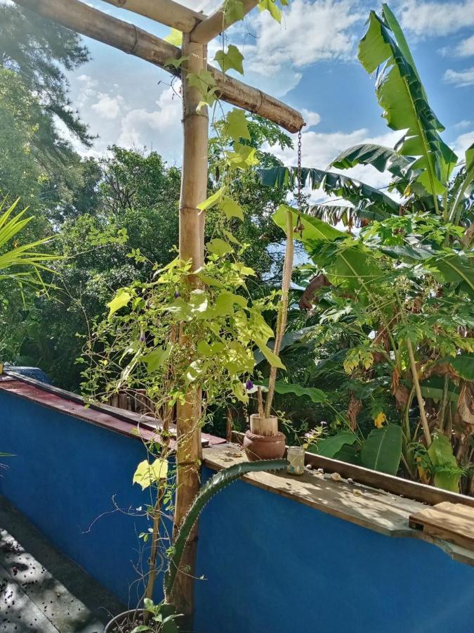 Meanwhile In Veracruz Dış mekan fotoğraf
