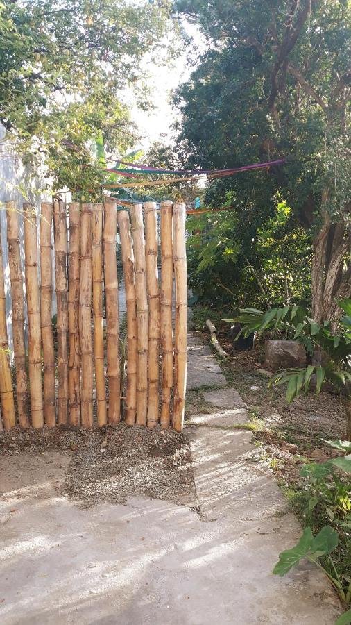 Meanwhile In Veracruz Dış mekan fotoğraf