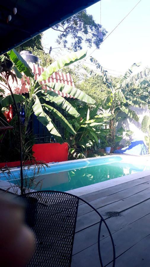 Meanwhile In Veracruz Dış mekan fotoğraf