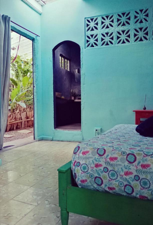 Meanwhile In Veracruz Dış mekan fotoğraf