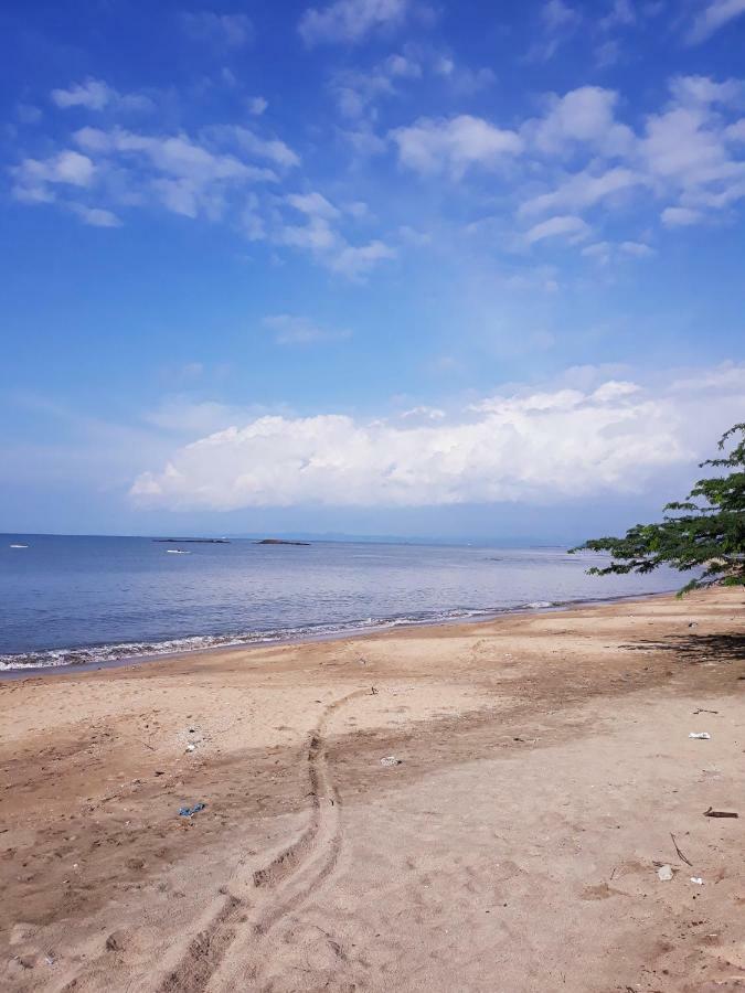 Meanwhile In Veracruz Dış mekan fotoğraf